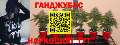 гидра Апрелевка